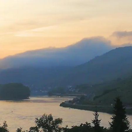 Wunderschoene Aussicht Garantiert Trechtingshausen Exterior foto