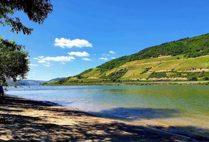 Wunderschoene Aussicht Garantiert Trechtingshausen Exterior foto