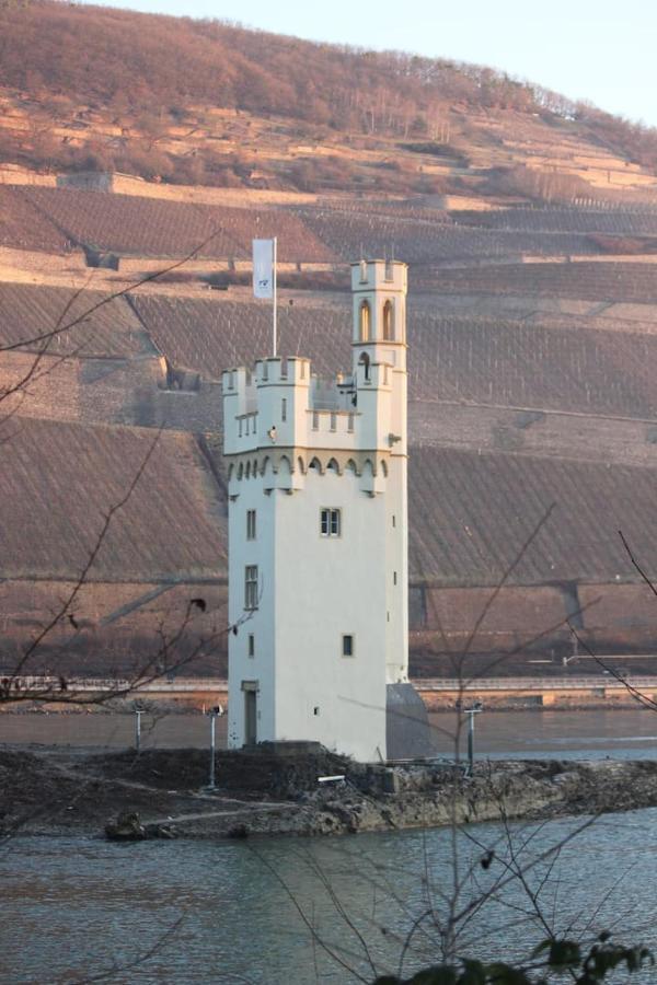 Wunderschoene Aussicht Garantiert Trechtingshausen Exterior foto
