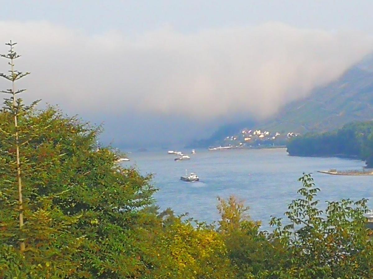 Wunderschoene Aussicht Garantiert Trechtingshausen Exterior foto