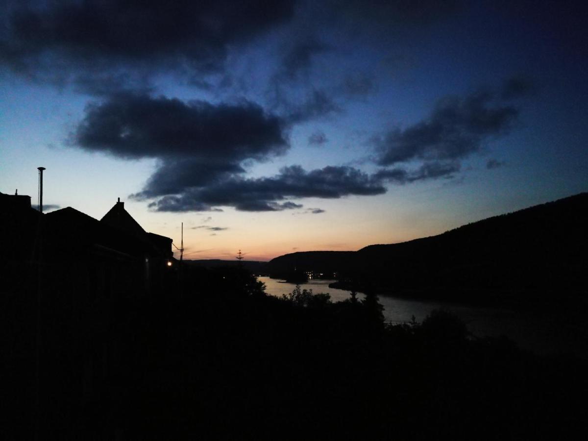 Wunderschoene Aussicht Garantiert Trechtingshausen Exterior foto